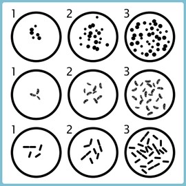 Fumete 60 Pcs Prepoured Agar Plates Kit Includes Petri Dishes with Agar Cotton Swabs Droppers Science Kits Educational Stem Science Fair Project for Boys Girls Gifts Learning Microbiology
