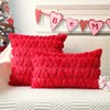 4TH Emotion 4TH Emotion Valentine's Day Love Decorative Pillow Covers