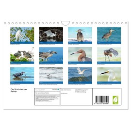 The Beauty of Herons (Wall Calendar 2026 DIN A4 Landscape), CALVENDO Monthly Calendar: Heron in Florida (CALVENDO Animals)