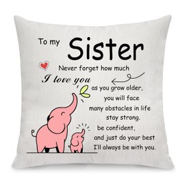 Sister Throw Pillow Cover Gift Big Middle Little Sister Gift from Sister Inspirational Gift Graduation Gift for Sister Pillow Case Gift Birthday (Sister)