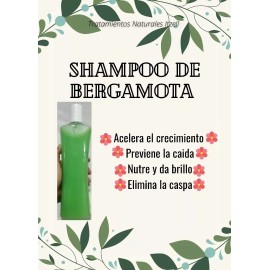 Producto Artesanal Shampoo Artesanal De Bergamota