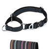 JIPIMON Martingale Dog Collar Reflective Nylon Soft Cushion with Alloy