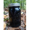 Ghost Pipe Tincture 4oz Harvested In Pennsylvania FREE Shipping