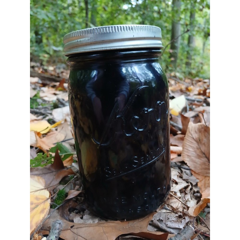 Ghost Pipe Tincture 4oz Harvested In Pennsylvania FREE Shipping