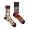 Spox Sox Casual Unisex Funny Crazy Colourful Socks for Men