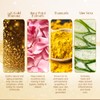 VLCC Natural Sciences Gold Facial Kit For Luminous & Radiant