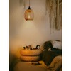 Hanging Lampshade with Plug, Outdoor Lamp, Hanging Boho Rattan Ceiling