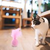 Cat Toy Ball with Feather | Kitten Training Toy -