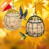 8 Pcs Suet Bird Feeders for Outside Hanging, Metal Wild