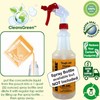 CleansGreen Auto Detailing, Care and Cleaning Kit Complete with Several