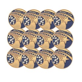SHOP AWARDS AND GIFTS Rising Star Lapel Pins for Students Appreciation Reward School Teacher Supplies Employee Recognition, Bulk Pack of 12, Poly Bagged, 3/4 Inch