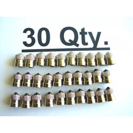 Schrader Automotive 30 Xtra Seal Brass Metal Chrome Valve Caps Tire Valve Stem Caps Schrader Brand