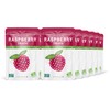 Nature’s Turn Freeze-Dried Raspberry Crisps – Healthy, Gluten-Free, Crispy &