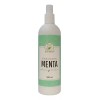 Productos Mart Mexico Tónico Facial Hidratante De Menta (500ml) 6
