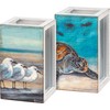 Primitives by Kathy Sea Turtle Home Décor Shell Holder,Blue