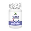 NATSA Gaba 60 cápsulas, calidad Premium