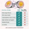 Xylitol Stone Sugar Free Candy - Vegan & Keto Friendly