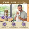 Scent Boosters for Washer, Lavender Aroma - Bulk Laundry Booster