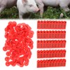 Pig Cattle and Sheep Ear Tag Farm Animal Indentification Card