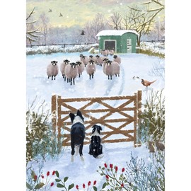 Charity Christmas Cards Box of 16 - BHF, Marie Curie, Mind, NSPCC, Shelter - Dog, Donkey and Sheep Farm Scenes - Artistic Festive Designs - Eco-Friendly - Made in the UK