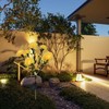 Solar Flower Lights LED Carnation Shaped Waterproof Decorative Light for