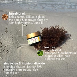 SanRe Organic Skinfood - Sparkling Aloe - Organic Aloe Vera Day Cream For Oily/Combination to Acne Prone Skin - SPF 30