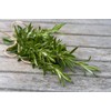 Gaea's Blessing Seeds - Rosemary Seeds - Heirloom Non-GMO Seeds