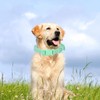 Waterproof Dog Collar Soft Rubber Dog Collar with Safety Buckle
