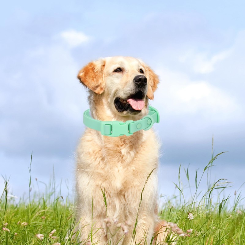 Waterproof Dog Collar Soft Rubber Dog Collar with Safety Buckle