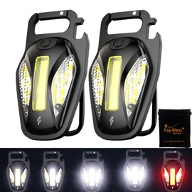 Linternas de bolsillo de alta luminosidad, 500 mAh, 800 lúmenes, aleación de aluminio  PC, carga tipo C (2 paquetes de escarabajos)                   