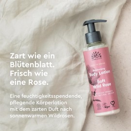 Urtekram Organic Body Lotion - Soft Wild Rose Moisturising Body Lotion Made from Organic and Natural Ingredients (245 ml, Pack of 1)