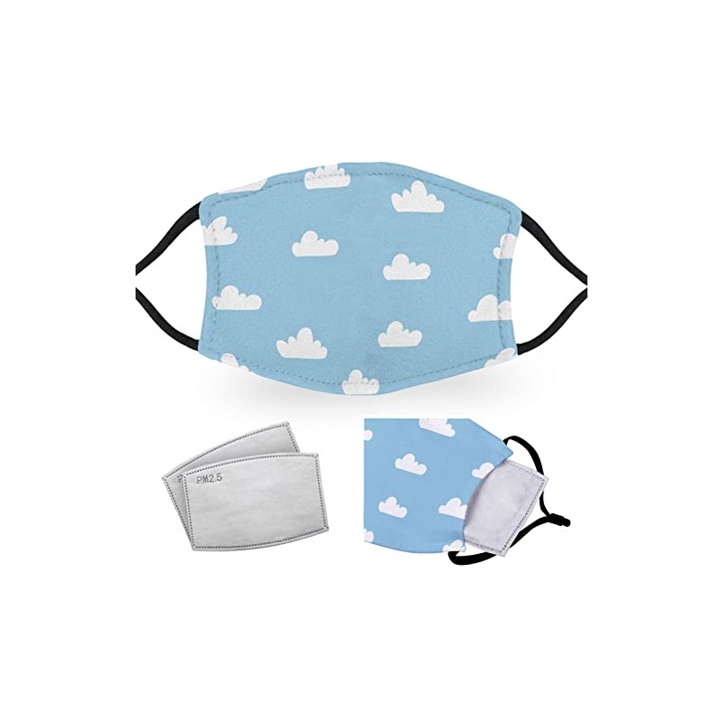 Blue Sky - Reusable Adult Face Masks - 2 Filters