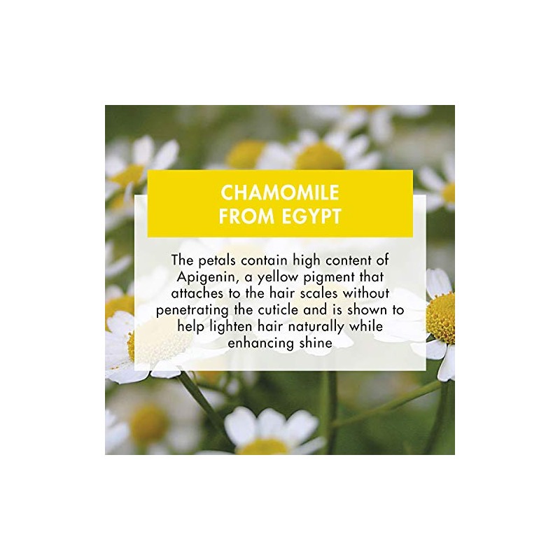 Klorane Shampoo with Chamomile - Blond Hair , 13.4 fl.