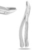 PRECISE CANADA: Dental EXTRACTING Forceps #89 Dental Extraction Instruments