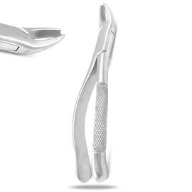 PRECISE CANADA: Dental EXTRACTING Forceps #89 Dental Extraction Instruments