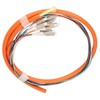Fiber Pigtail 12 Strand Multimode Stable Fiber Pigtail Cable for