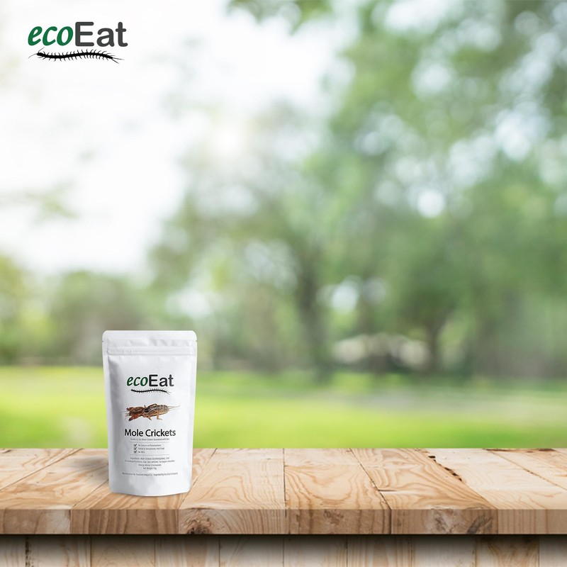 ecoEat Edible Insects Mole Crickets (Gryllotalpidae) - 15g Bag -
