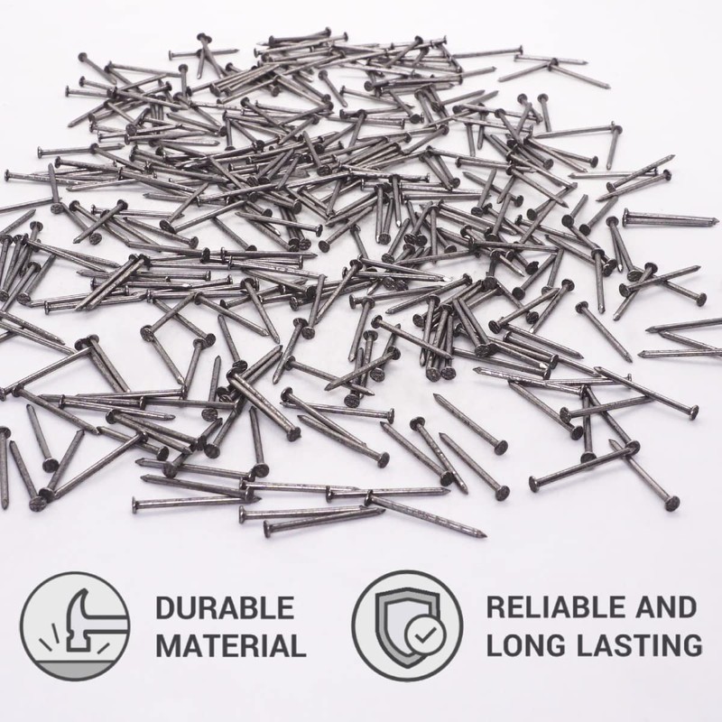 SKIR'CO (400 pcs) Steel 1.6 x 25 mm Construction Nails,