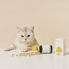 Jayu Pet Cat Nutrition Pu Dioder Probiotics for Cat, 1 Piece, Intestinal Health Lactobacillus, 30 Servings / 자유펫 고양이 영양제 푸 디오더 프로바이오틱스 포 캣, 1개, 장건강유산균, 30회분