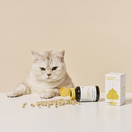 Jayu Pet Cat Nutrition Pu Dioder Probiotics for Cat, 1 Piece, Intestinal Health Lactobacillus, 30 Servings / 자유펫 고양이 영양제 푸 디오더 프로바이오틱스 포 캣, 1개, 장건강유산균, 30회분