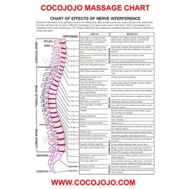 Sweet Almond Oil - Face Skin Hair Cold Pressed 32 oz Natural Pure Massage Antioxidant Extra Virgin Unrefined Premium Grade