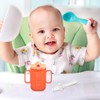 AUTSUPPL 5pcs Bottle Straw Sippy Cup Replacement Straw Drinking Straw