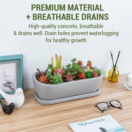 MyGift 14 Inch Oval Modern Gray Concrete Succulent Planter Pot with Drainage Hole and Removable Saucer, Decorative Cement Indoor House Plant Container for Flowers, Cactus, Herbs