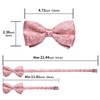 DiBanGu Silk Pink Mens Bow Tie Paisley Pretied Bow Tie