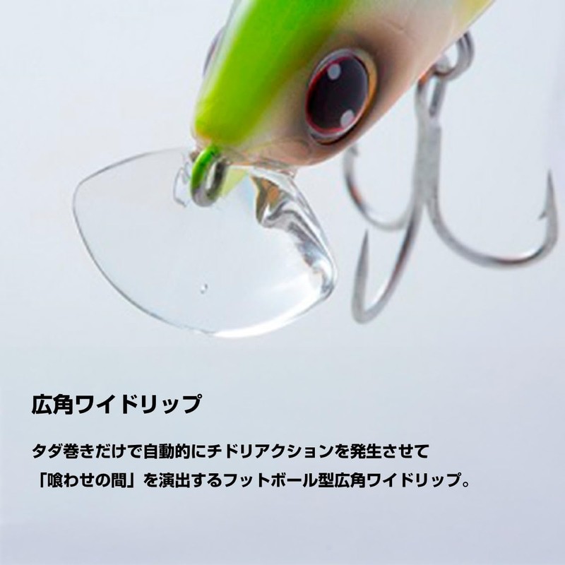 DAIWA Shoreline Shiner Z Set Upper 75S-DR Lure, Design: Chart