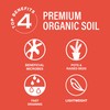 LGM Cactus & Succulent Palm & Citrus Mix, Ideal Potting