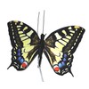 Active Aliforms Moving Butterfly - Swallowtail