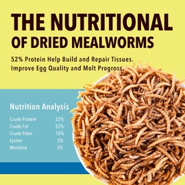 WormsFarm 10lb Dried Mealworms for Wild Birds Chickens Feed for Laying Hens,Ducks,Reptiles
