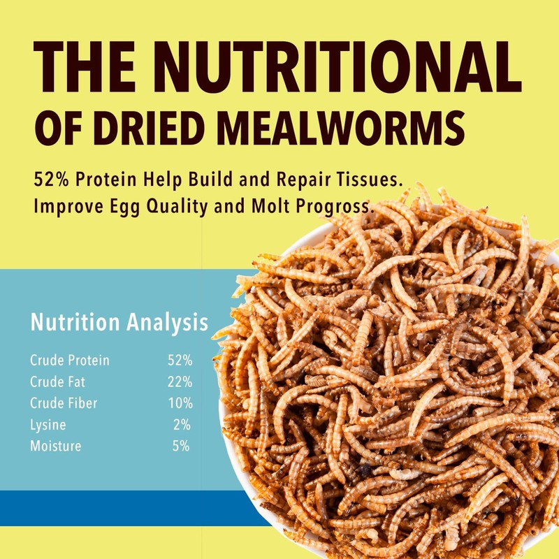 WormsFarm 10lb Dried Mealworms for Wild Birds Chickens Feed for
