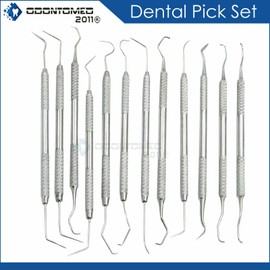 ODM 12 Piece Dental Probe Pick Tool Instrument Set Stainless Steel Scaler PR-296